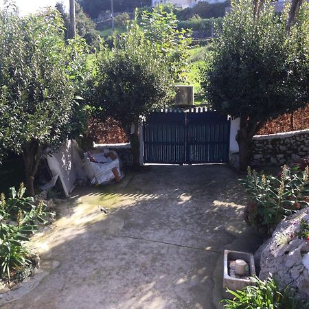 塞洛里奥Casa Jardin Rocablanca Llanes别墅 外观 照片